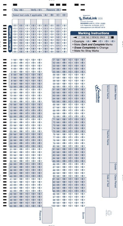 100Q DataLink 1200 test answer sheet (28510)