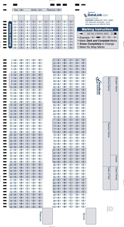 100Q DataLink 1200 test answer sheet (28980)