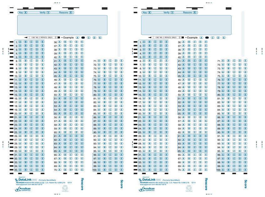 100Q DataLink 3000 answer sheet  (29250)